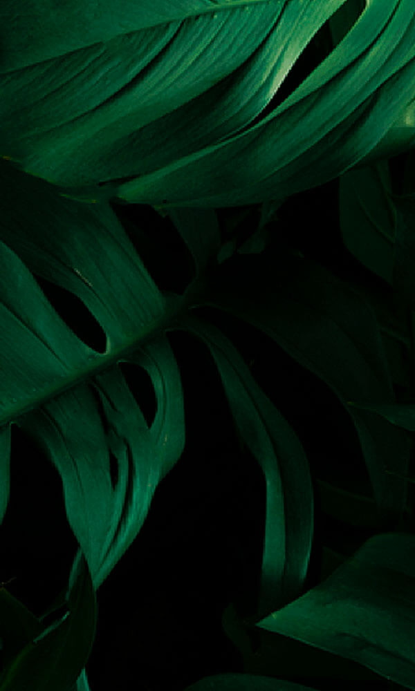 ACTIVE GOVERNANCE IS KEY – Family businesses adapting to crisis