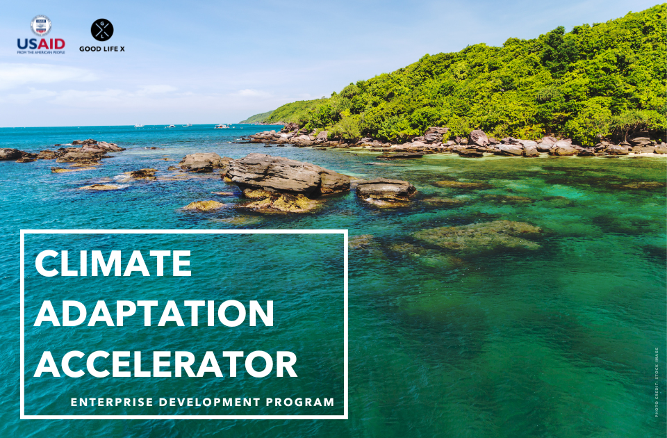 Our Programs