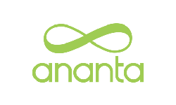 Our team and network