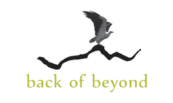 Our team and network