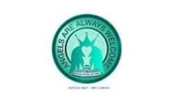 Our team and network