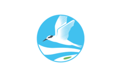 Our team and network