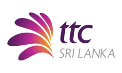 Our team and network