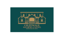 Our team and network