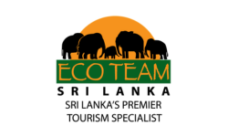 Our team and network