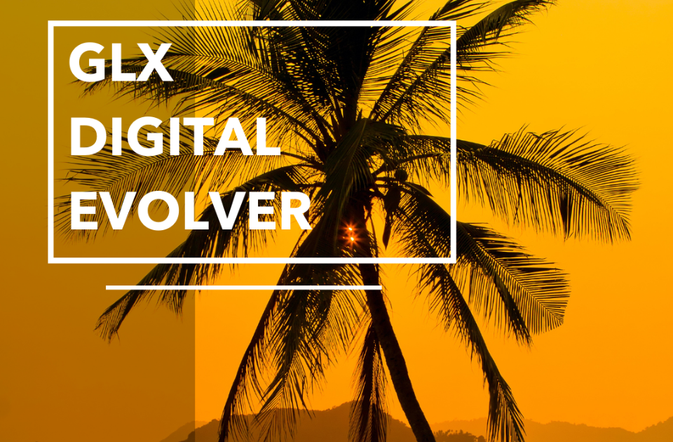 Digital Evolver